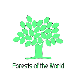 Forests Of The World